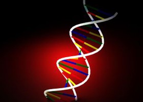 Rokonaink - a szivacsok... (a genetika nyomában)