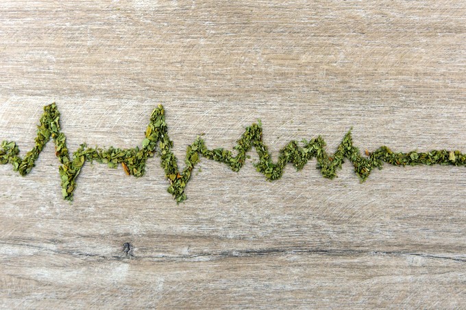 Nem veszélytelen az orvosi kannabisz: ilyen hatása van a szívre című cikk nyitóképe