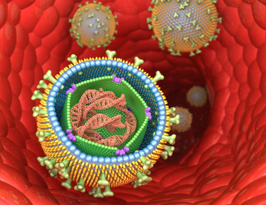 Lipschütz 1913-ban írt le először egy akut betegséget, amely lázzal, genitális fekélyekkel és lymphadenopathiával járt egy serdülő lánynál. Az állapot főként a 20 évesnél fiatalabb személyeket érinti, mintegy 3 héten belül megszűnik, és általában átmenetileg influenzaszerű betegséggel vagy fertőző mononukleózis-szindrómával társul.