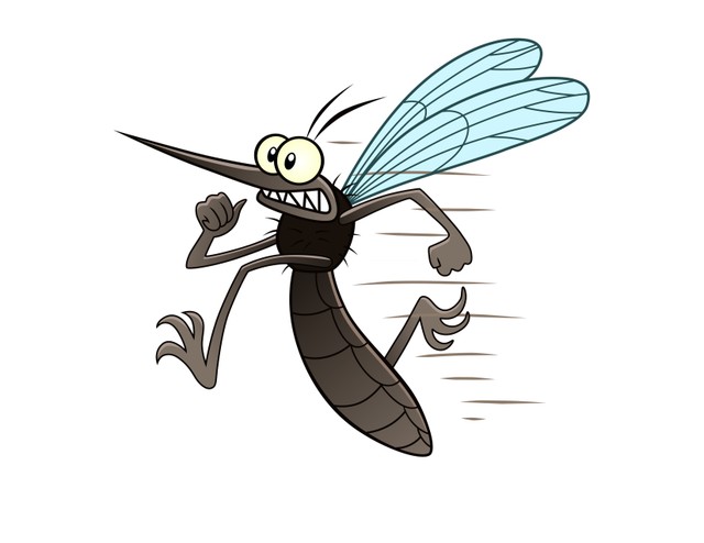 Pofonegyszerű szúnyogriasztó módszer: ezt vesse be, ha már semmi sem használ