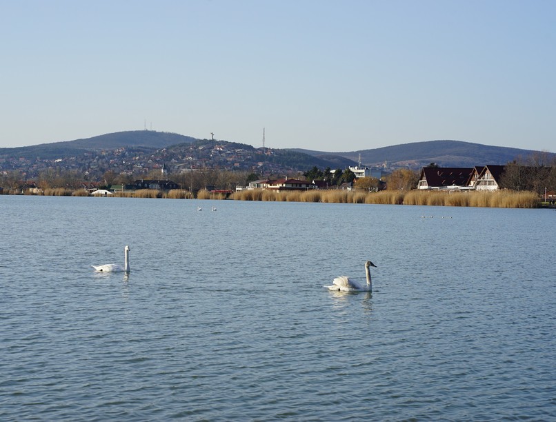 velencei tó melegedés