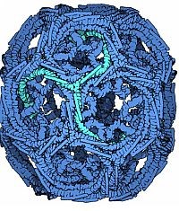 A nanotechnológia csodája: gyógyszermolekulákat juttat az agyba