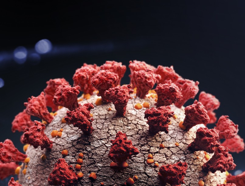 koronavírus, covid, francia mutáns, francia variáns