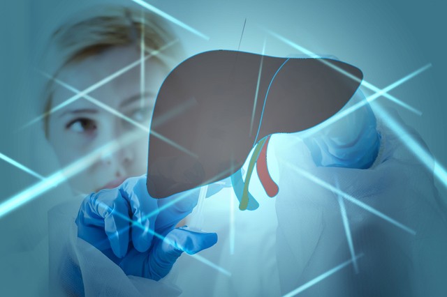 Ultrahanggal kideríthető-e a magas májenzimek oka - mikor igen, mikor nem?