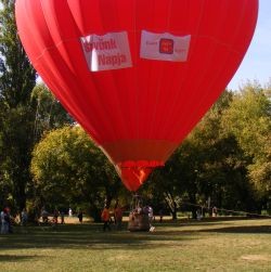 Szívünk Napja - 2009