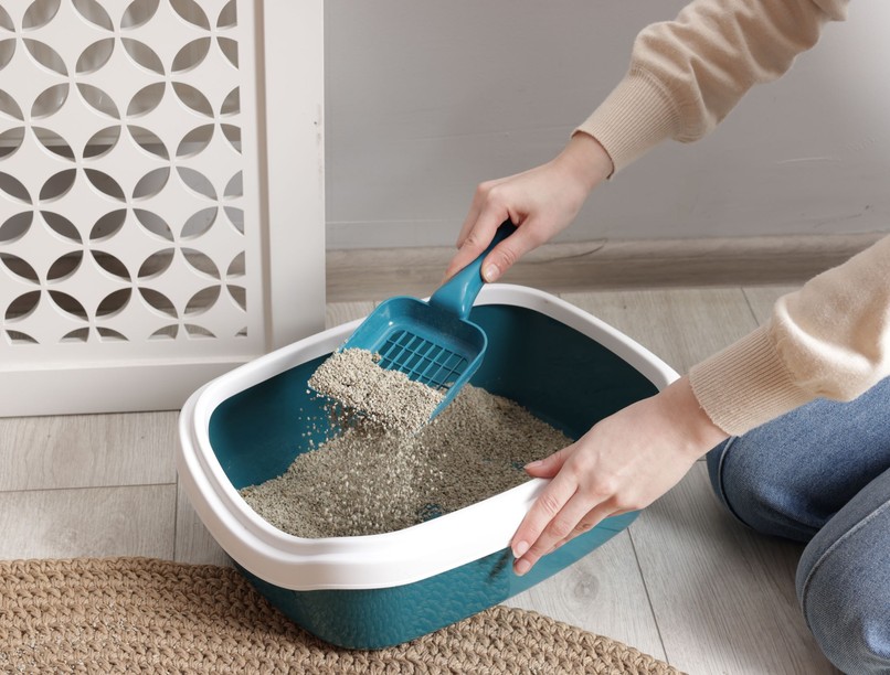 autó szélvédő pára ellen tél macskaalom