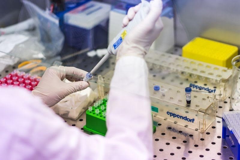 Génkutatás a célzott rákgyógyításért