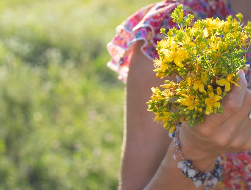 orbáncfű, gyulladadáscsökkentő, antibakteriális, stresszoldó, szorongás, menopauza