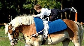 Programajánló: lovasterápia fogyatékkal élő gyerekeknek is!