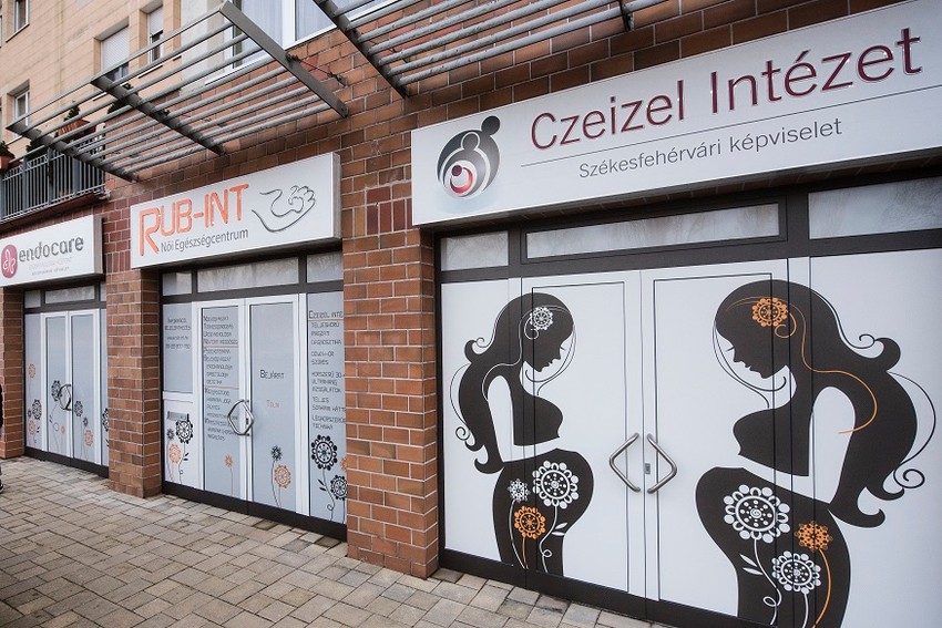 Czeizel Intézet (2)