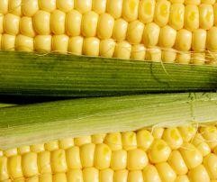 Lisztérzékeny? Ezeket az alternatívákat válassza!