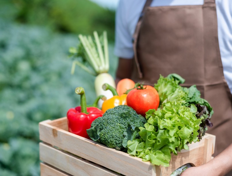 egészségesebb a bio öko zöldség gyümölcs