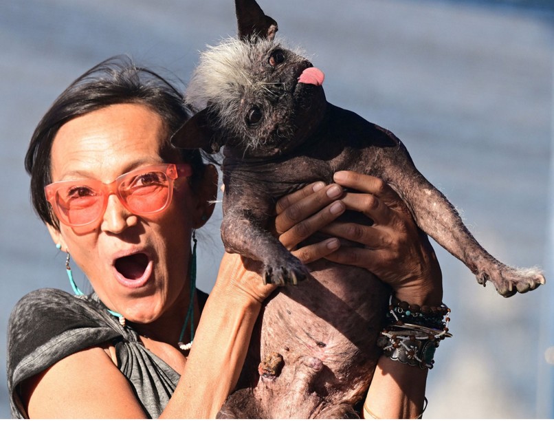 Mr happy Face, a világ legrondább kutyája, kutyaszépségverseny, anti-szépségverseny