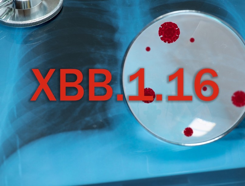koronavírus, covid-19, omikron, XBB 1.16, variáns