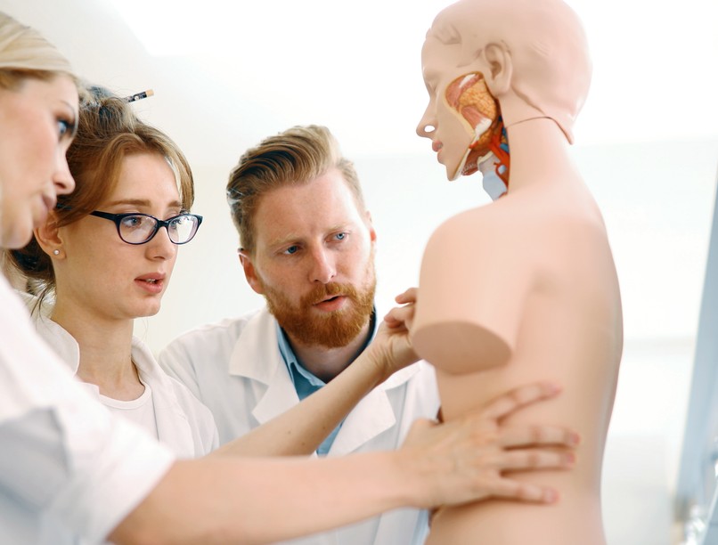 háziorvos, orvostanhallgatók, szakképesítés, orvosképzés, kutatás