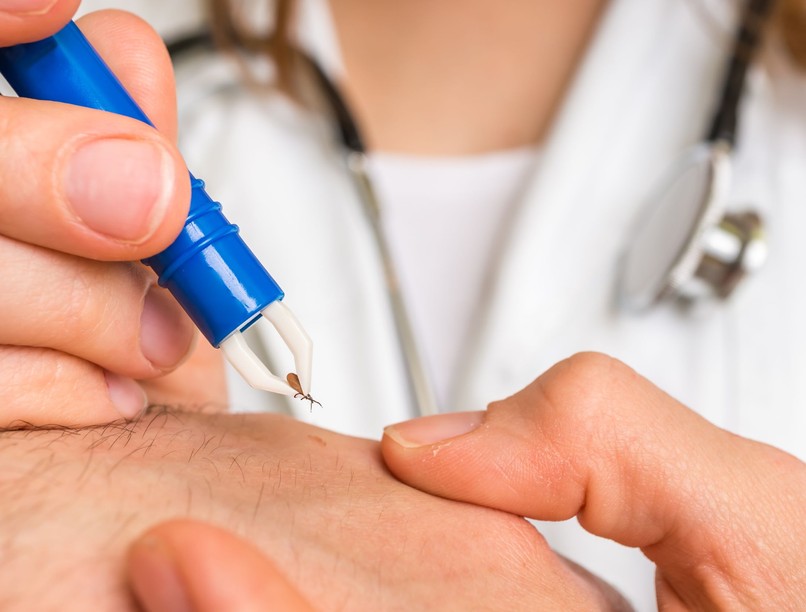 lyme-kór kullancs videó Országos Mentőszolgálat