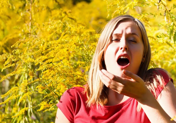 Parlagfű allergiája van? Ez a módszer segíthet