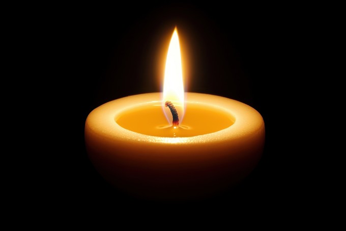 Gyászba borult a Tankcsapda: meghalt Shrek a biztonsági csapat oszlopos tagja című cikk nyitóképe