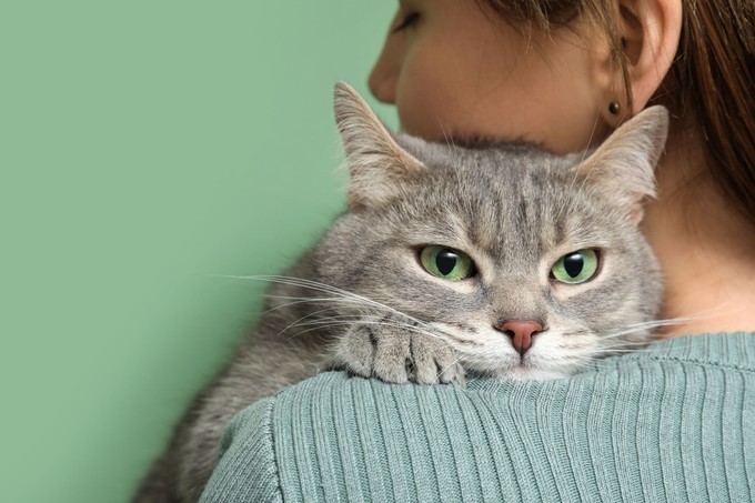 Vajon el lehet kapni galandférgeket a macskánktól? című cikk nyitóképe