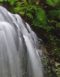 Újdonság: prosztata-teszt vizeletből?