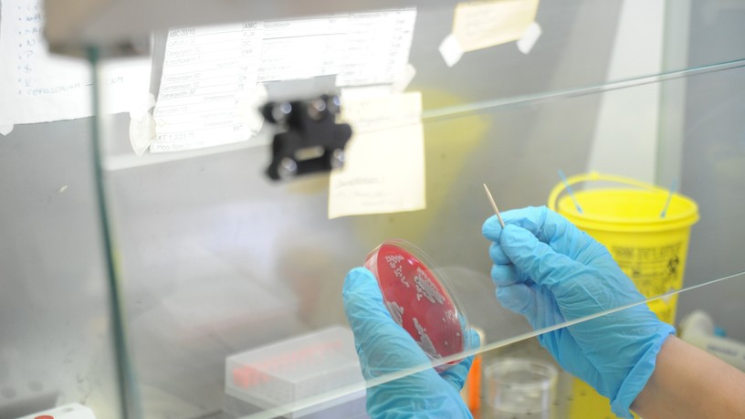multirezisztens baktériumok, antibiotikum, rezisztencia, MRSA, fertőzés