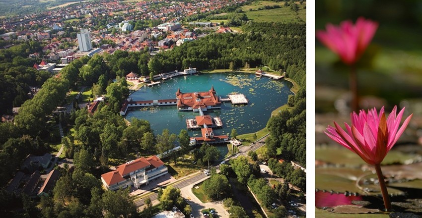 Hévíz kedvelt desztináció a gyógyulni vágyók körében