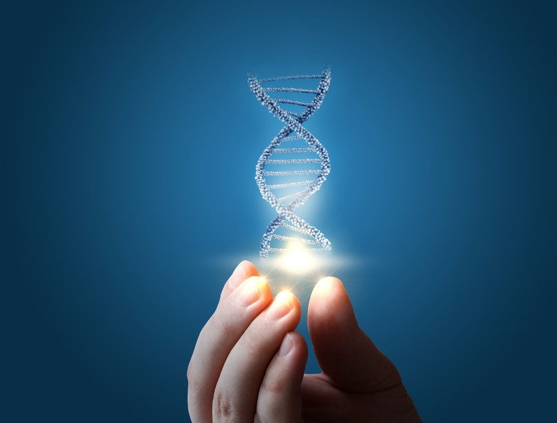 DNS, processzor, tudomány, kutatás