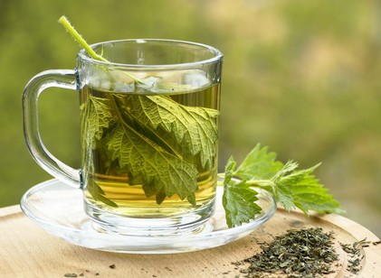 Ennyi mindenben segíthet a csalántea – ezért igya rendszeresen című cikk nyitóképe