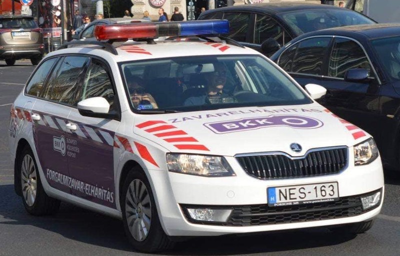 Futás közben összeesett a férfi a Margit-szigeten, így reagáltak rá a járókelők