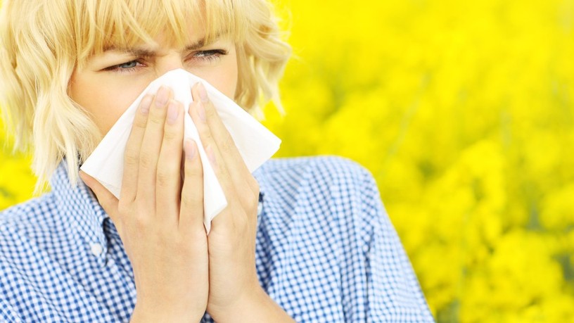 pollen, allergia