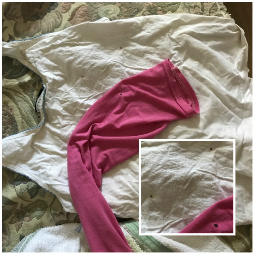 Az ágyi poloskák jellegzetes ürülékfoltjai a ruhákon, Irina lakásában.