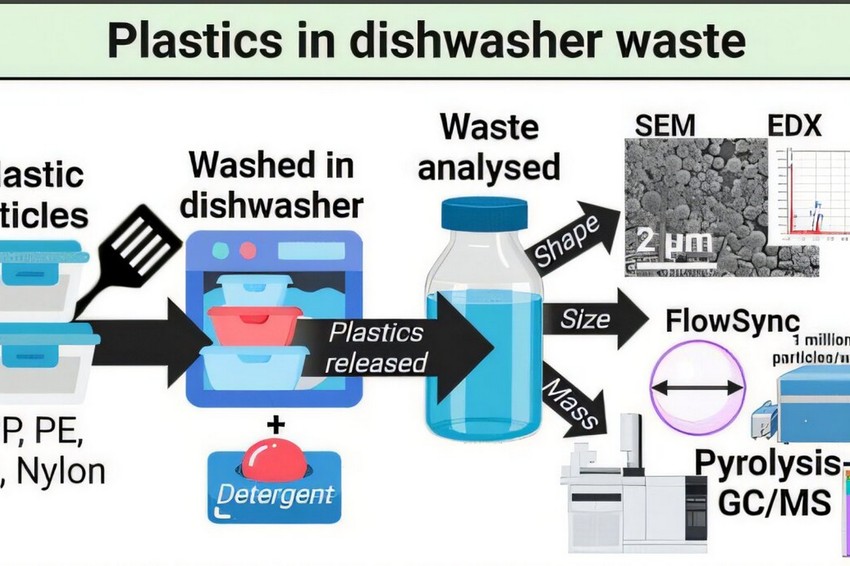 Hogyan kerül a mosogatógépből a szennyvízbe a mikroműanyag?
