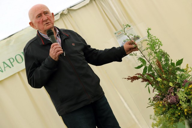 Ezek a bükki füvesember tanácsai a szívünk és a bolygónk egészségéért