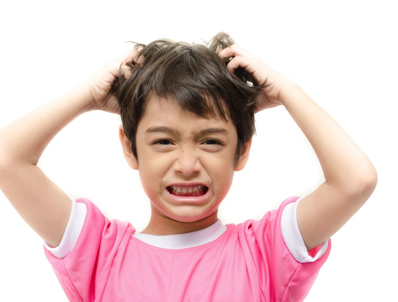 Tetvesség tetü haj kezelés teafaolaj