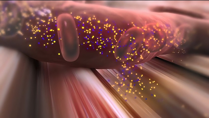 Amikor bevesz egy fájdalomcsillapító gyógyszert, az a lábujjaktól a fejbúbig jelen van a szervezetben.