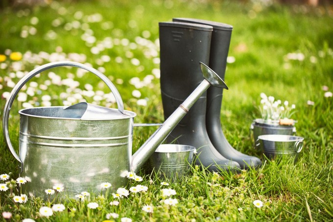 Kullancs a kertben: ezekkel csökkentheti a megjelenésük esélyét című cikk nyitóképe