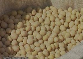 A szója védőhatása mire terjed ki?