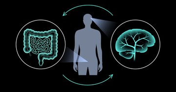  Mi az immunológiai vizsgálat és mit mutat ki? 