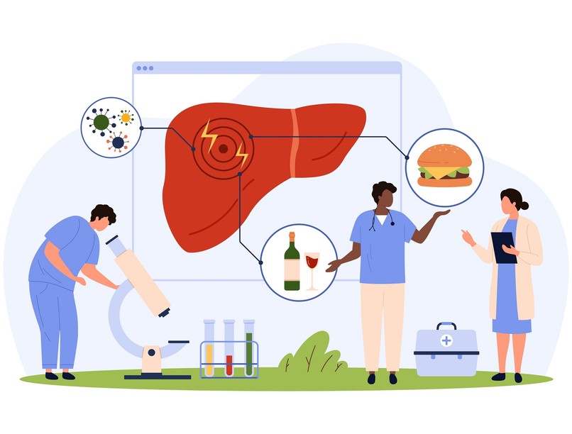 májkárosodás Hogyan gyógyul a máj