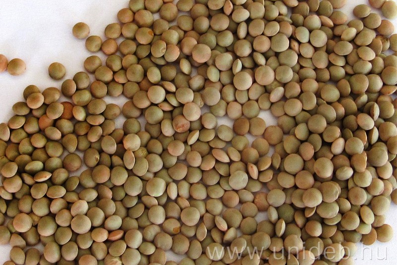 Így néz ki a Pinklevi lencse.