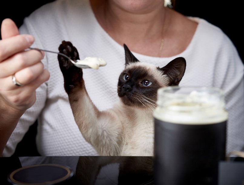 tejföl égési sérülés ősi praktika, népi gyógymód mentők sürgősségi