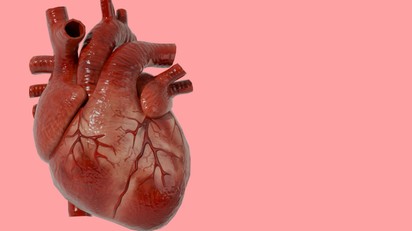 Miért nem hallunk szinte soha a szívrákról? Meglepő biológiai ok áll mögötte című cikk nyitóképe