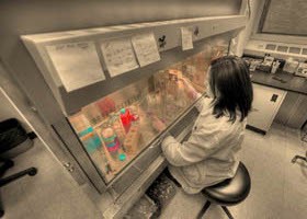 Van remény a későbbi gyermekvállalásra?