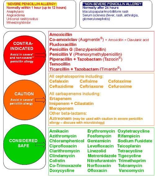 Penicillin-allergia: nem adható rá bármilyen antibiotikum!
