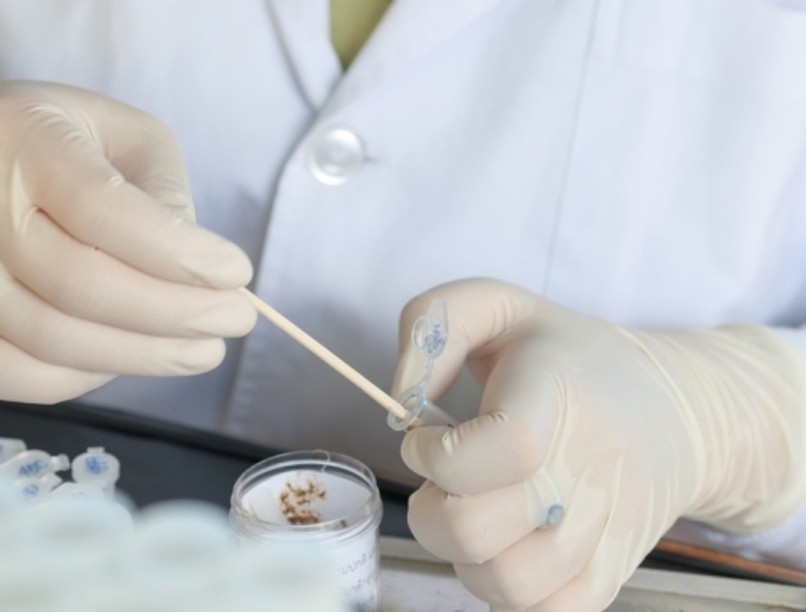 WC használat után vessünk egy pillantást székletünkre, színéből sok mindent kiolvashatunk.