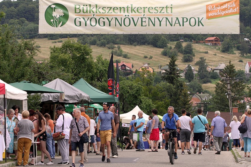 A családias rendezvénynek induló kezdeményezés, ma már sok ezer embert vonz