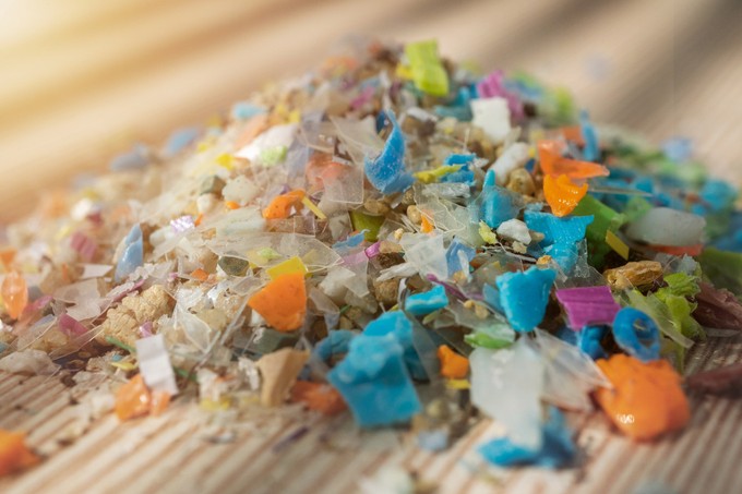 ELTE-kutatás: a mikroműanyagok a viselkedésre is hatással vannak című cikk nyitóképe