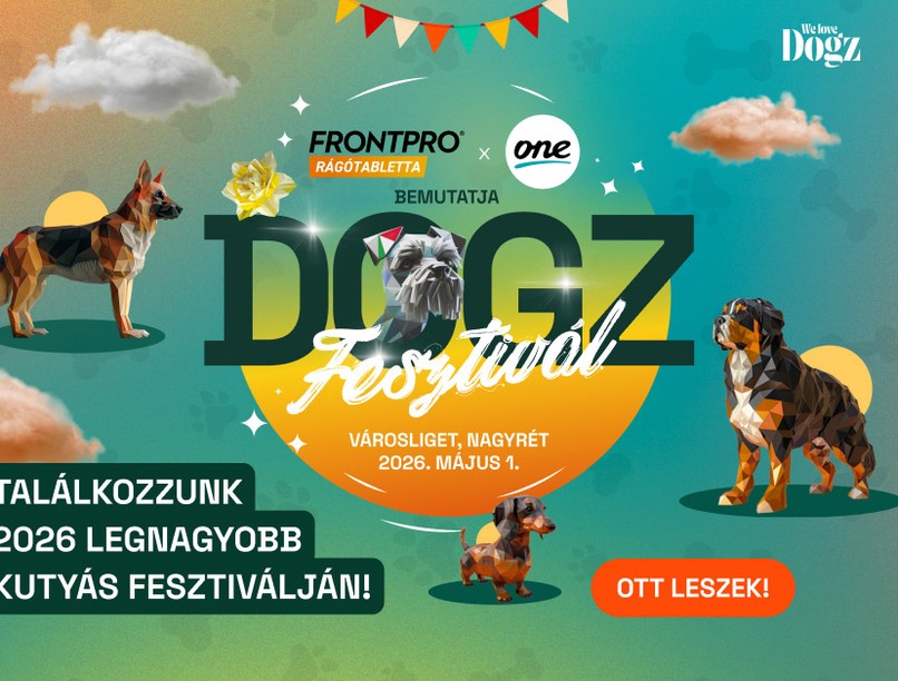 DOGZ Fesztivál kutyás program május 1