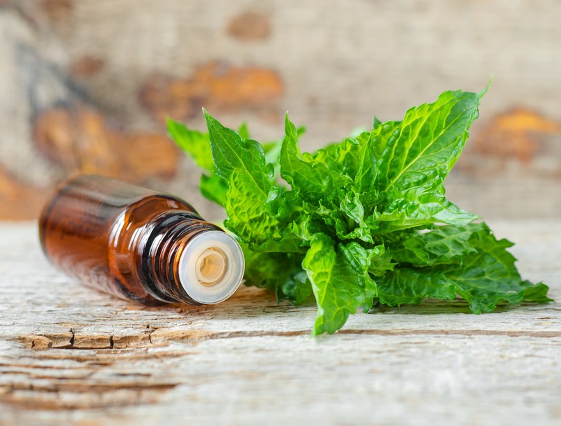 Alzheimer-kór, mentol, inhalálás, demencia