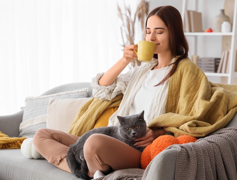 legjobb tea éjszakára belek emésztés